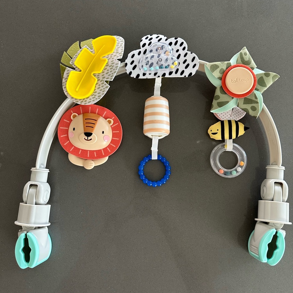 Taf Toys Arch Toy